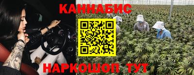 тгк Гусев