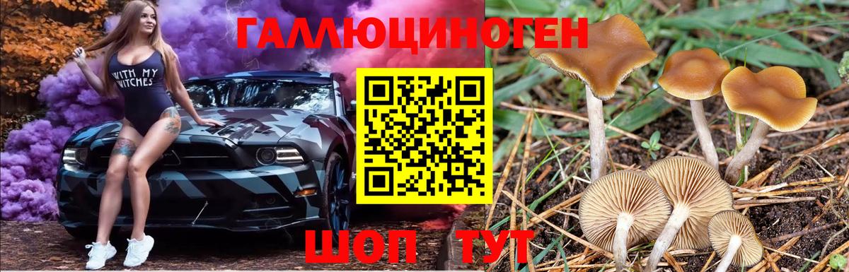 Галлюциногенные грибы Cubensis  Псилоцибиновые грибы мухоморы  Вход с VPN  Нижний Тагил 
