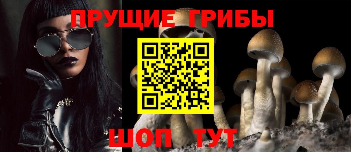 Псилоцибиновые грибы GOLDEN TEACHER Нижний Тагил
